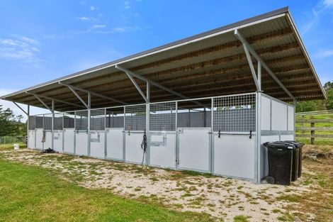 Photo of property in 51 Glenmore Road, Coatesville, Albany, 0793