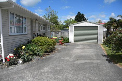 Photo of property in 49 Raeburne Street, Te Awamutu, 3800
