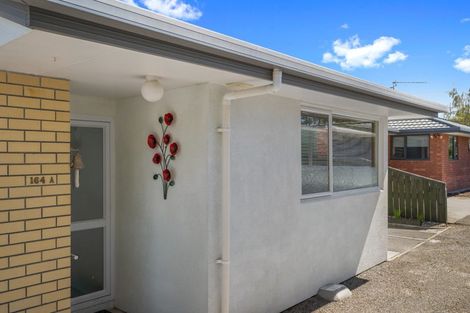 Photo of property in 164 Muller Road, Blenheim, 7201
