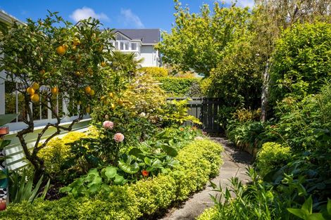 Photo of property in 57 Mount Street, Nelson South, Nelson, 7010