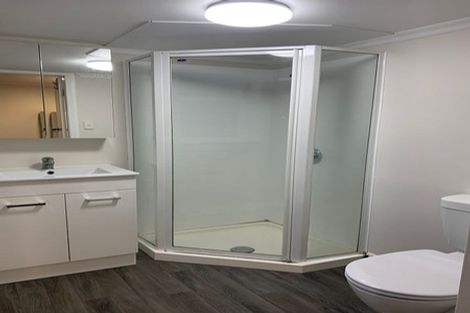 Photo of property in 16 Normanby Street, Newtown, Wellington, 6021