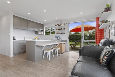 Photo of property in 208 Pukemapu Road, Oropi, Tauranga, 3173