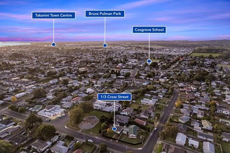 Photo of property in 1/3 Cross Street, Papakura, 2110