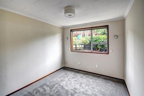 Photo of property in 11a Allandale Road, Saint Clair, Dunedin, 9012