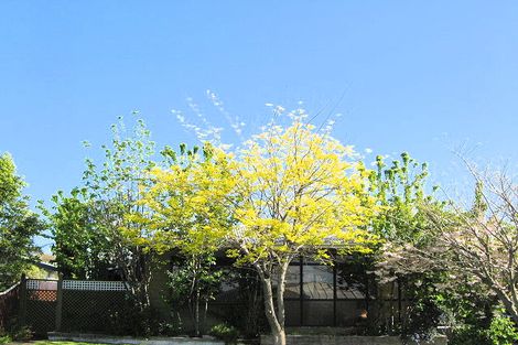 Photo of property in 13 Blackwood Street, Wakatu, Nelson, 7011