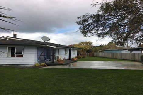 Photo of property in 31 Gordon Crescent, Marton, 4710