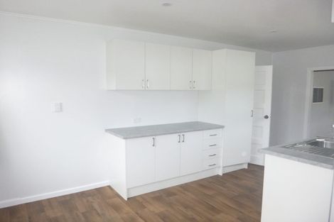 Photo of property in 101 Wilkie Crescent, Naenae, Lower Hutt, 5011