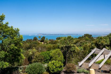 Photo of property in 11 Kaimata Road, Bay View, Napier, 4182