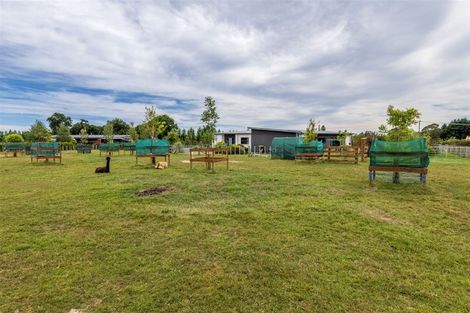 Photo of property in 134 Gladstone Road, Levin, 5571