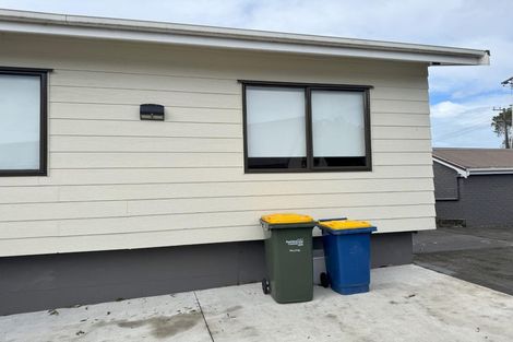 Photo of property in 49 Norcross Avenue, Henderson, Auckland, 0612