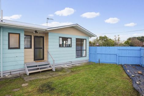 Photo of property in 23 Douglas Street, Levin, 5510