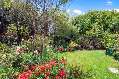 Photo of property in 98 Kinloch Road, Kinloch, Taupo, 3377