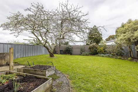 Photo of property in 17 London Terrace, Awapuni, Palmerston North, 4412