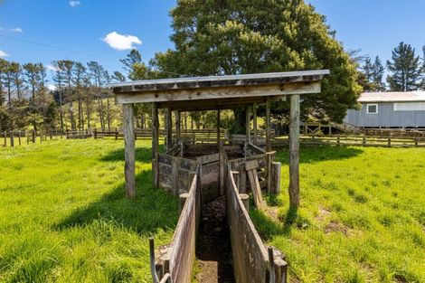 Photo of property in 390 North Road, North East Valley, Dunedin, 9010