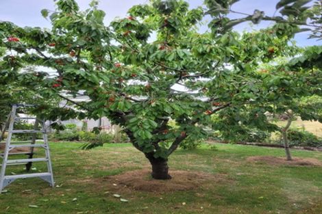 Photo of property in 44 Woolshed Road, Reidston, Oamaru, 9492