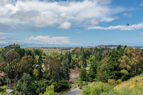 Photo of property in 88 Oak Road, Poraiti, Napier, 4112