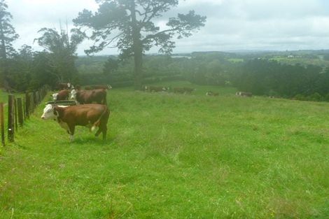 Photo of property in 353 Lockington Road, Aongatete, Katikati, 3181