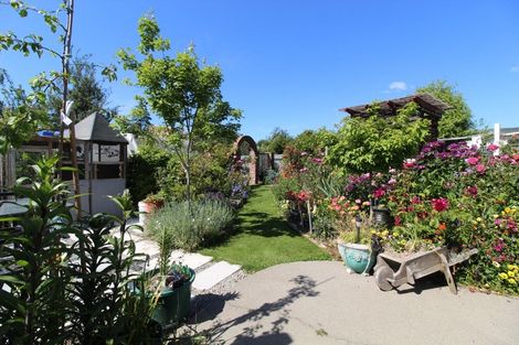 Photo of property in 35 Rhodes Street, Waimate, 7924