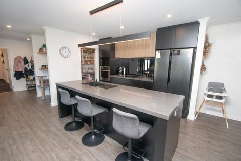 Photo of property in 28 Redhaven Rise, Netherby, Ashburton, 7700