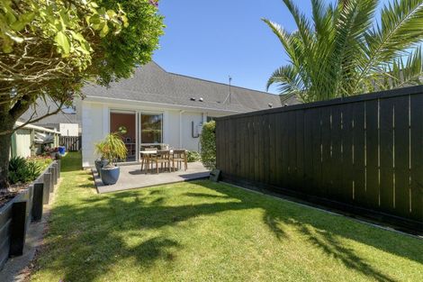 Photo of property in 34c Fourth Avenue, Tauranga, 3110