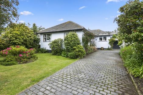 Photo of property in 36 Balmain Street, Halfway Bush, Dunedin, 9010