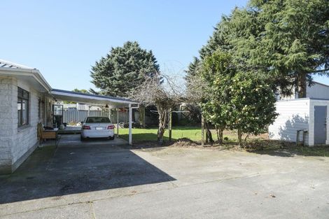 Photo of property in 15 Windsor Street, Dannevirke, 4930