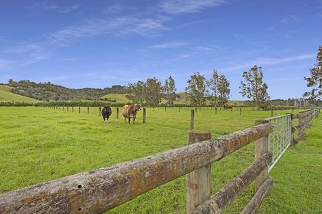 Photo of property in 115 Ruaroa Road, Kaitaia, 0482