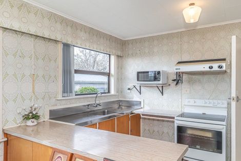 Photo of property in 19 Balmoral Street, Levin, 5510