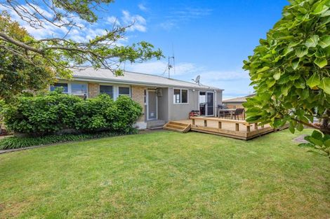 Photo of property in 38 The Drive, Brookfield, Tauranga, 3110