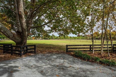 Photo of property in 365 Newell Road, Tamahere, Hamilton, 3283