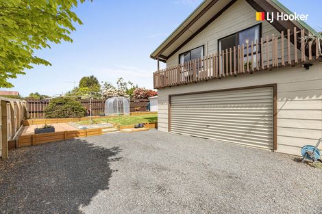 Photo of property in 203 Dalziel Road, Brockville, Dunedin, 9011