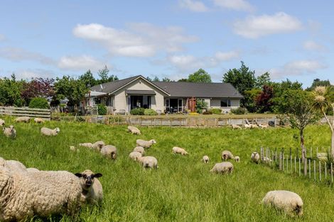 Photo of property in 578 Sandon Road, Feilding, 4779