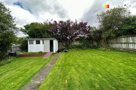 Photo of property in 15 Oakland Street, Andersons Bay, Dunedin, 9013