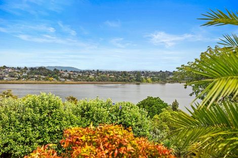 Photo of property in 99b Eighth Avenue, Tauranga, 3110