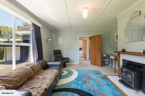 Photo of property in 113 Fairfax Street, Murchison, 7007