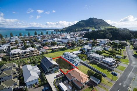 Photo of property in 24b Rita Street, Mount Maunganui, 3116