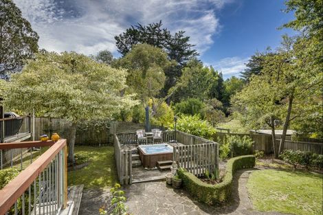 Photo of property in 45 Greenwood Road, Havelock North, 4130