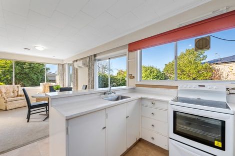 Photo of property in 119 Maxwell Road, Blenheim, 7201