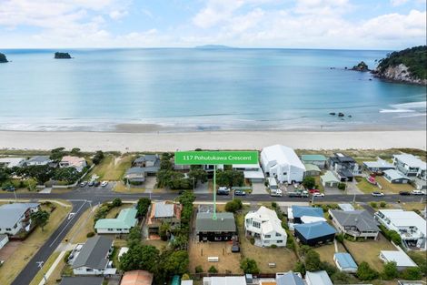 Photo of property in 117 Pohutukawa Crescent, Whangamata, 3620