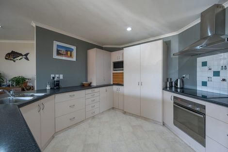 Photo of property in 46 Otia Drive, Richmond, 7020