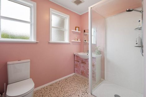 Photo of property in 20 Tweed Street, Roslyn, Palmerston North, 4414