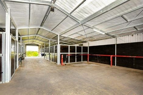 Photo of property in 147 Mcconnels Road, Leeston, 7683