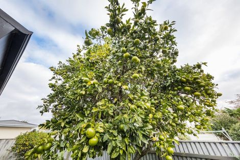 Photo of property in 2a Hendon Place, West End, Palmerston North, 4412