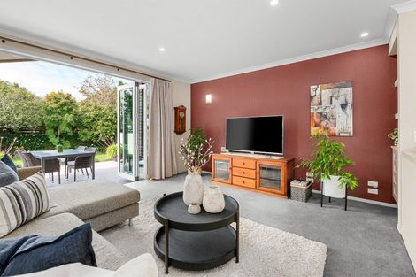 Photo of property in 17 Pollock Drive, Chartwell, Hamilton, 3210