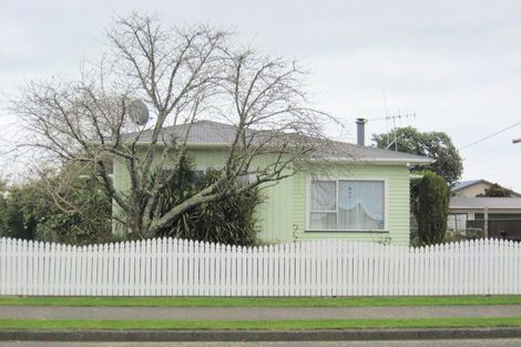 Photo of property in 123-125 Tiro Tiro Road, Levin, 5510