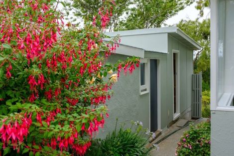 Photo of property in 5 Worcester Street, Hampden, 9410