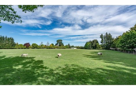 Photo of property in 35 Cridges Road, Darfield, 7510