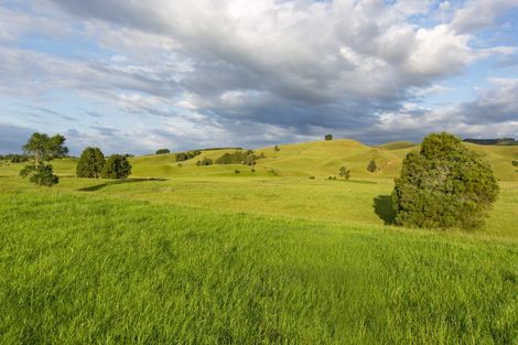 Photo of property in 9a Pond Road, Raglan, 3295