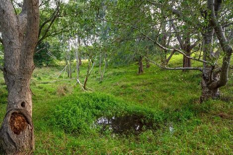 Photo of property in 12 Whitehills Road, Waitoki, Silverdale, 0994