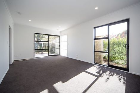 Photo of property in 9a Martin Street, Fairfield, Hamilton, 3214